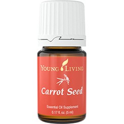 Carrot Seed - Karotte Ätherisches Öl - 5ml