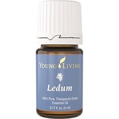 Ledum - 5ml
