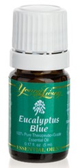 Eucalyptus Blue - 5 ml