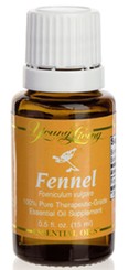 Fennel - Fenchel - 15 ml