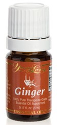 Ginger - Ingwer - 5 ml