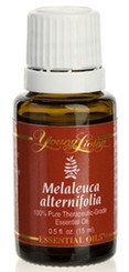 Melaleuca Alternifolia - Teebaumöl - 15 ml